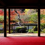 Sake was born in Nara prefecture