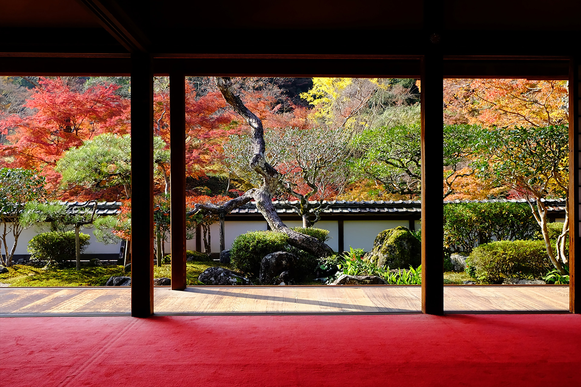 Nara is birthplace of Japan.